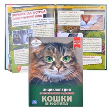 Книга "Умка". Кошки и котята (Энциклопедия А4).