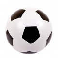 Мяч 200мм Р2-200 окрашенные вручную ( 8 )